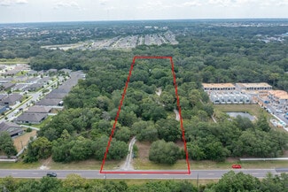 Plus de détails pour 12730 Bullfrog Creek Rd, Gibsonton, FL - Terrain à vendre