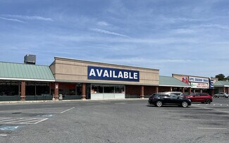 Plus de détails pour 402-408 N Fruitland Blvd, Salisbury, MD - Local commercial à louer