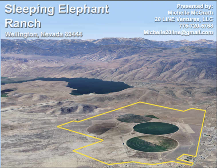 0 US Highway 208, Wellington, NV à vendre - Photo de l’immeuble – Image 1 sur 5