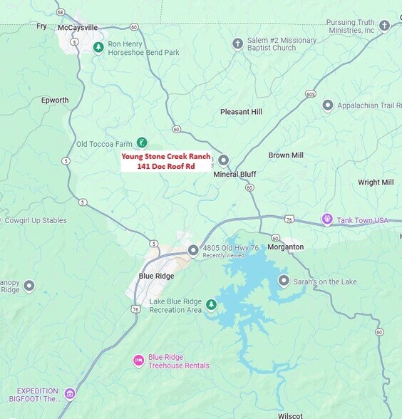 141 Doc Roof Rd, Mineral Bluff, GA à vendre - Photo de l’immeuble – Image 3 sur 12