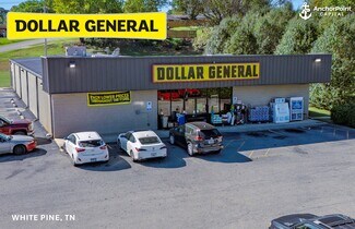 Plus de détails pour 1127 State St, White Pine, TN - Local commercial à vendre