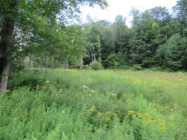 Ferndale rd, Ferndale, NY à vendre - Photo de l’immeuble – Image 3 sur 7