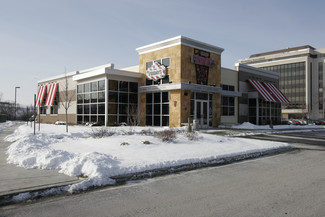 Plus de détails pour 9651 W Higgins Rd, Rosemont, IL - Local commercial à louer