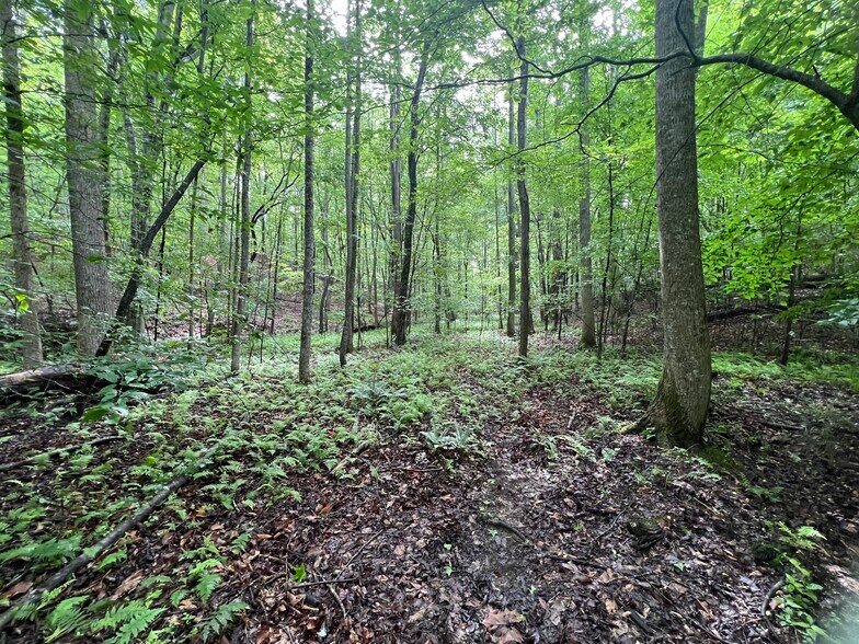 395 Able rd, Waleska, GA à vendre - Photo de l’immeuble – Image 3 sur 43