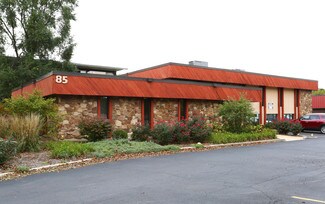 Plus de détails pour 85 Market St, Elgin, IL - Bureau à vendre