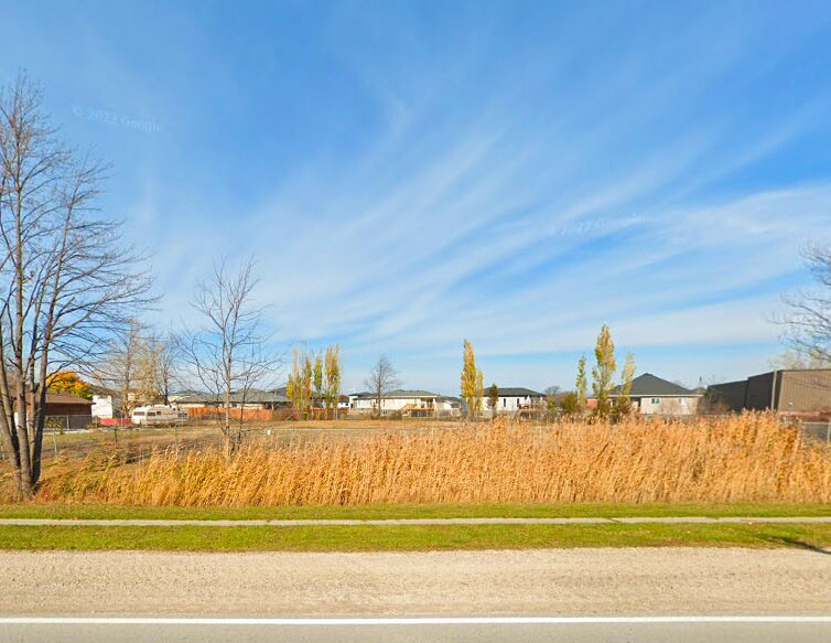 6114 County Rd 46 (Hwy 98), Comber, ON à vendre - Photo de la ville – Image 2 sur 7
