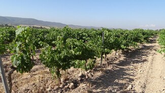Plus de détails pour la Font de la Figuera, Villena - Terrain à vendre