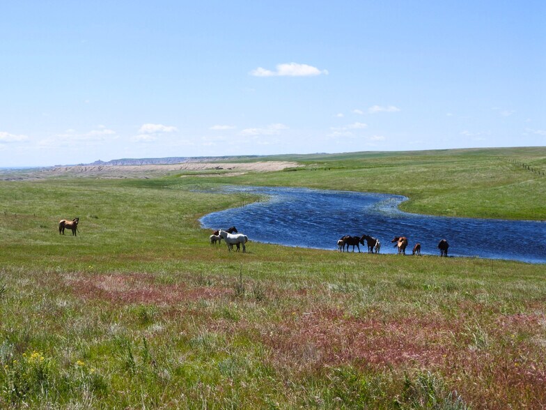 24900 Spring Draw Rd, Scenic, SD à vendre - Photo principale – Image 1 sur 57