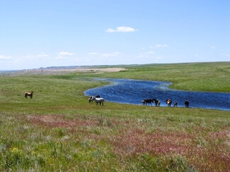 Plus de détails pour 24900 Spring Draw Rd, Scenic, SD - Terrain à vendre