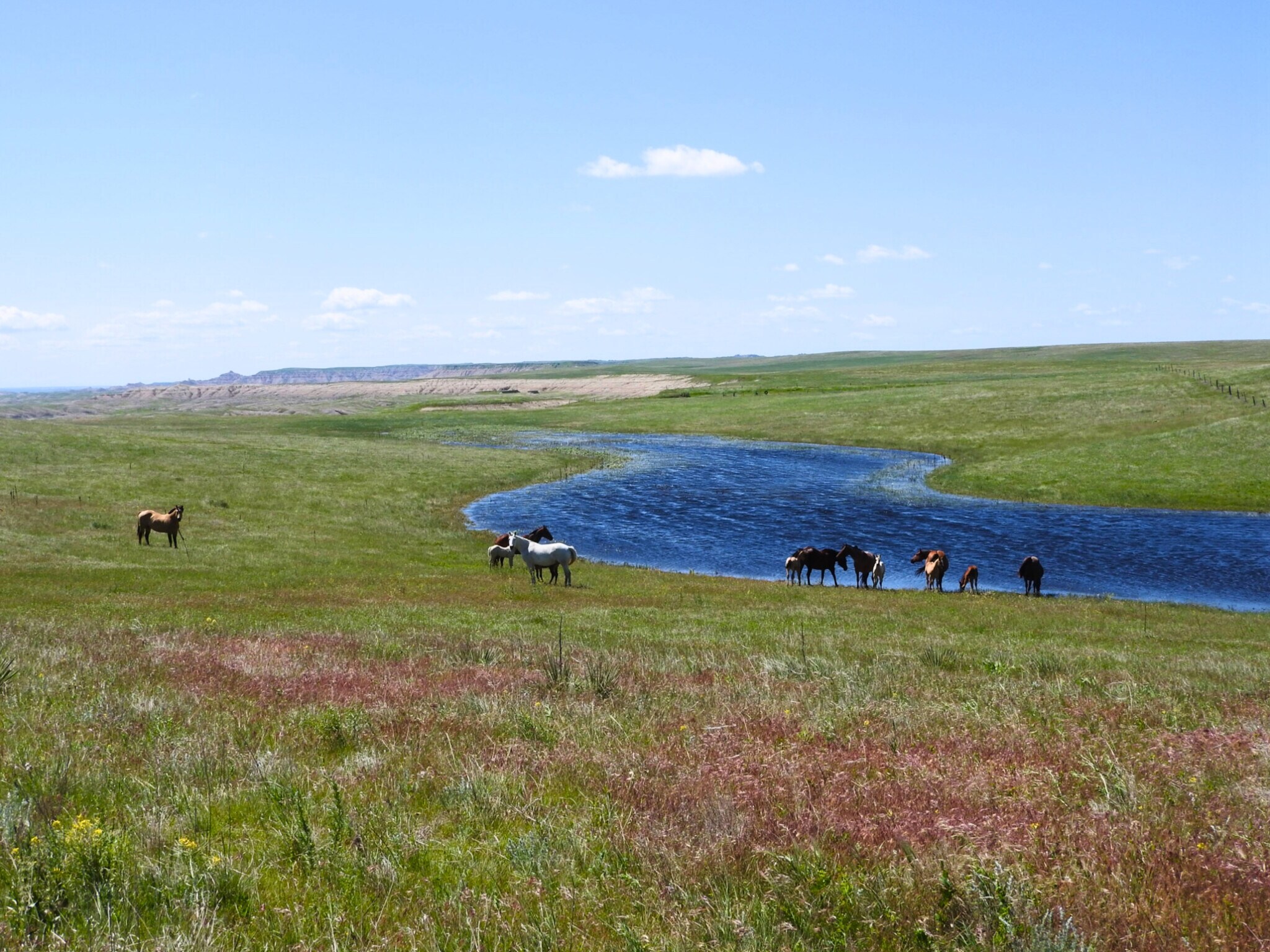 24900 Spring Draw Rd, Scenic, SD à vendre Photo principale– Image 1 sur 58