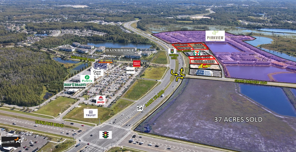 SR 54 & Sunlake Blvd, Lutz, FL à louer - Photo de l’immeuble – Image 3 sur 3