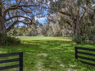 Plus de détails pour West County Road 476, Bushnell, FL - Terrain à vendre