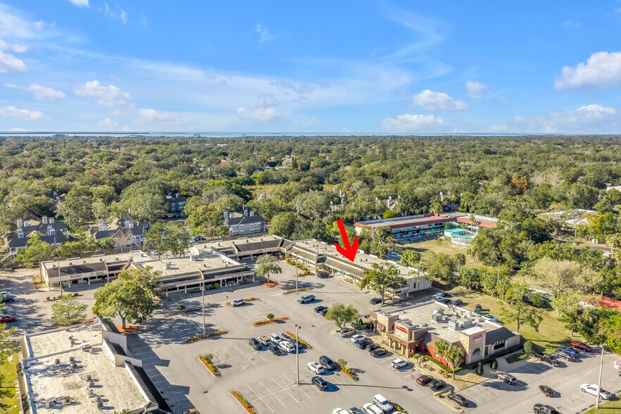 31918 US Highway 19 N, Palm Harbor, FL à louer - Aérien – Image 2 sur 30