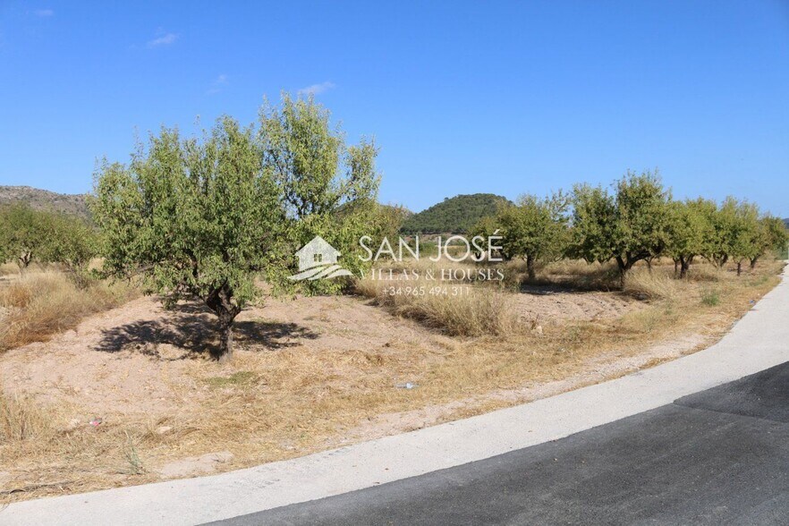 Terrain dans MONÒVER, Alicante à vendre - Photo principale – Image 3 sur 14