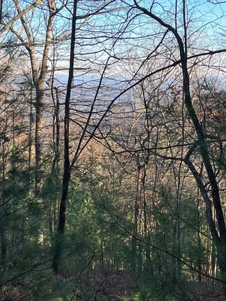 Plus de détails pour 13368 Chatsworth Hwy, Ellijay, GA - Terrain à vendre