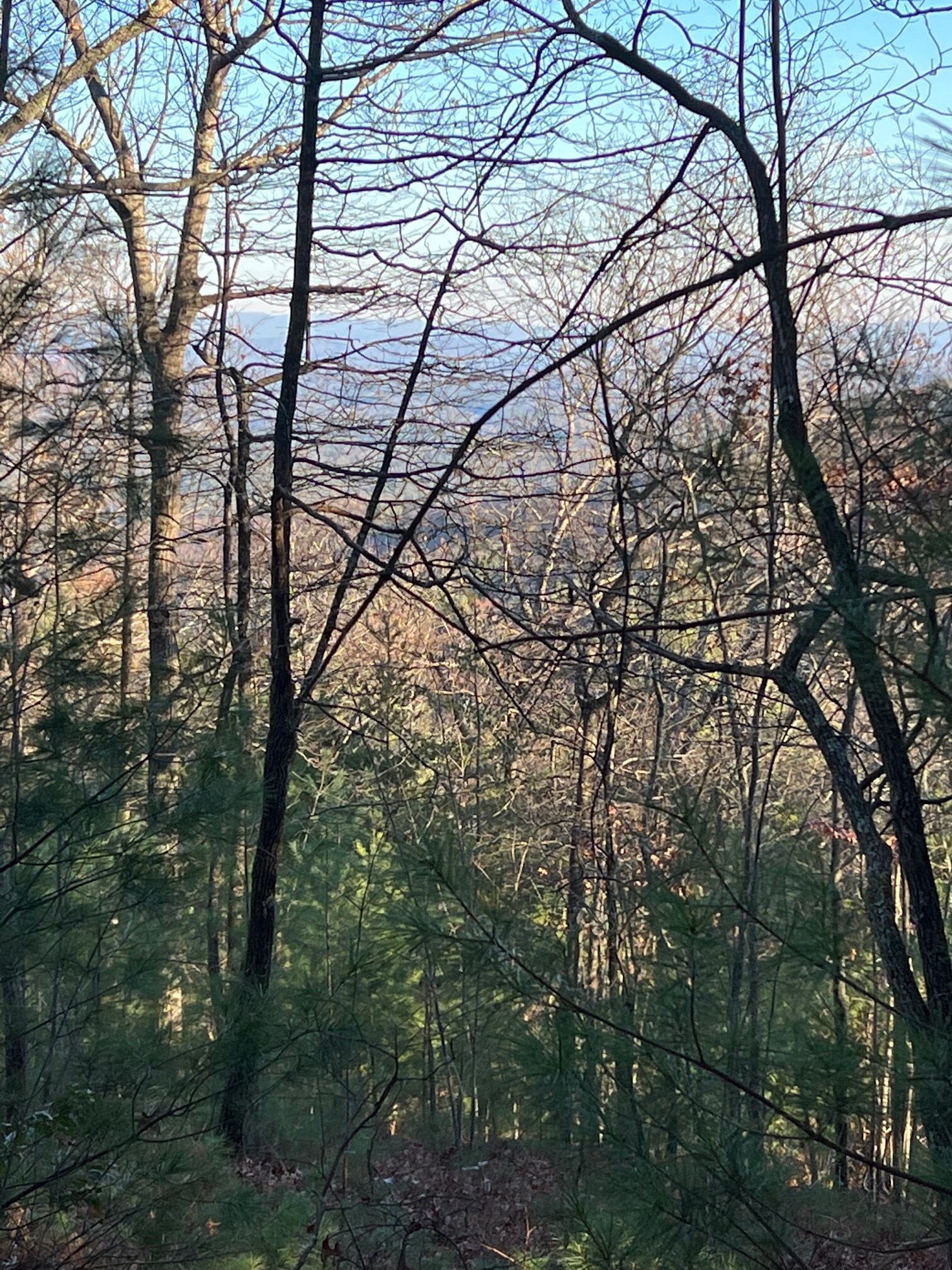 13368 Chatsworth Hwy, Ellijay, GA à vendre Photo principale– Image 1 sur 2