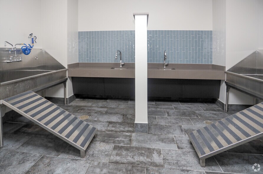 11671 Maple St, Fishers, IN à louer - Photo intérieure – Image 2 sur 62