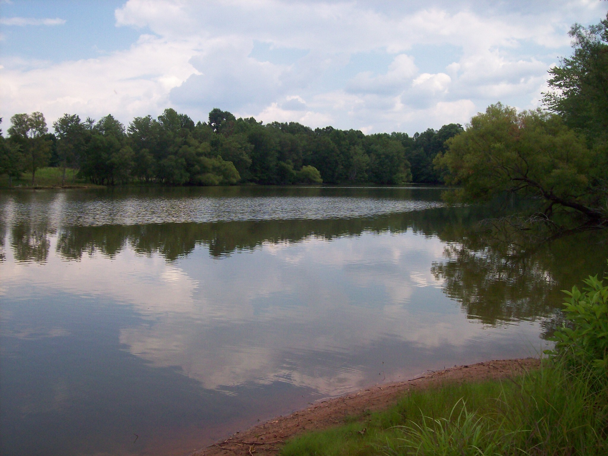 Camp Creek Rd, Lancaster, SC à vendre Photo principale– Image 1 sur 3