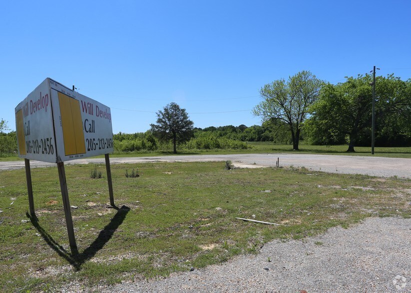 880 US Hwy 80, Demopolis, AL à vendre - Photo de l’immeuble – Image 3 sur 5