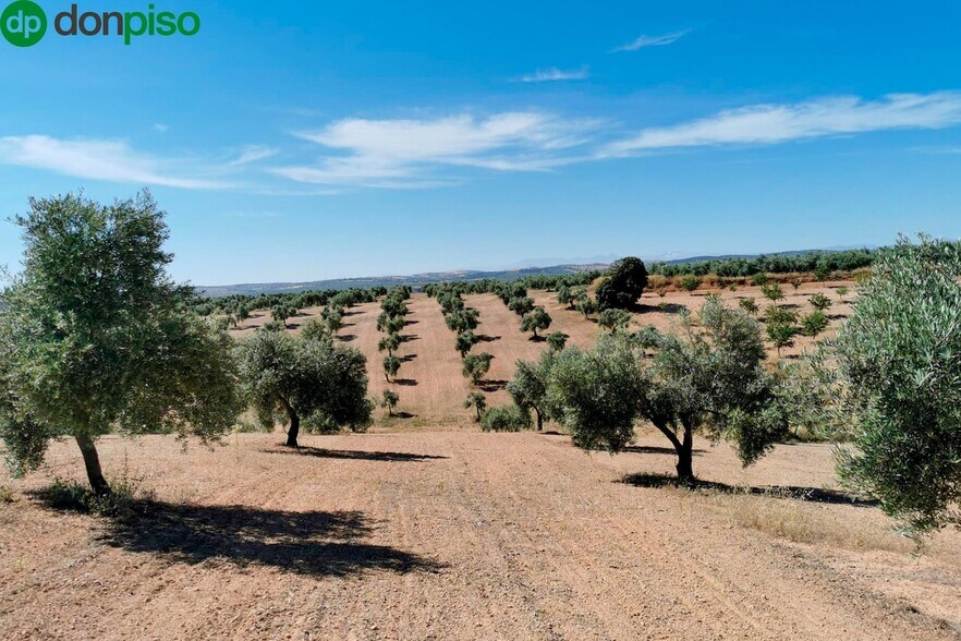 Llano Salviar Polígono, 13, Parcela: 20, Huelma, Jaén à vendre - Aérien – Image 2 sur 8