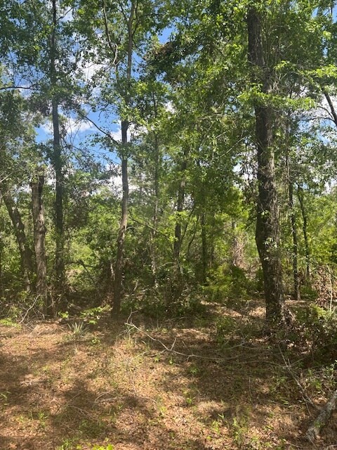 0 New Bethel Church Rd, Fitzgerald, GA à vendre Autre– Image 1 sur 11