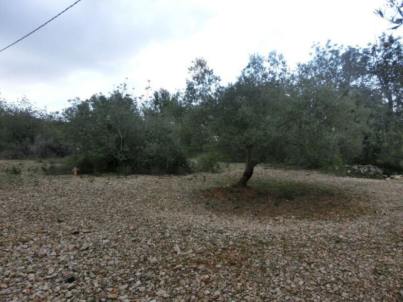 Terrain dans Sant Carles de la Ràpita, Tarragona à vendre - Autre – Image 1 sur 2