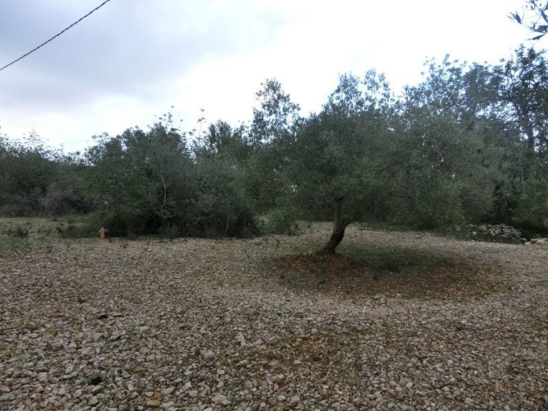 Terrain dans Sant Carles de la Ràpita, Tarragona à vendre Autre– Image 1 sur 3