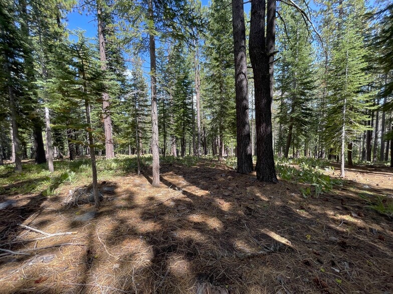 13485 Cristallina Way, Truckee, CA à vendre - Autre – Image 2 sur 9