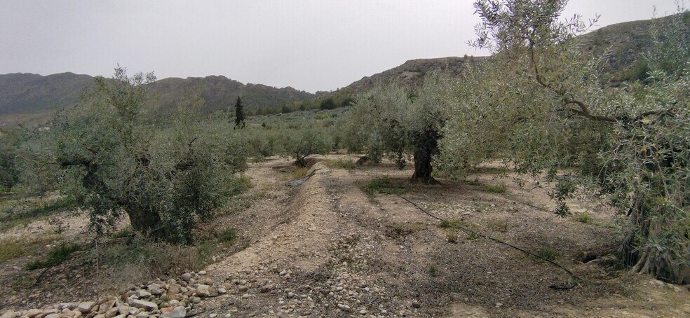 Terrain dans Calasparra, Murcia à vendre - Photo de l’immeuble – Image 3 sur 19