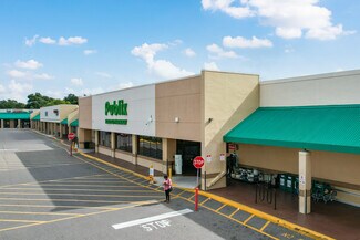 Plus de détails pour 11710-117788 E Dr. Martin Luther King, J Blvd, Seffner, FL - Local commercial à louer