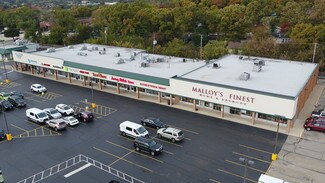 Plus de détails pour 1020-1048 Maple Ave, Lisle, IL - Local commercial à louer