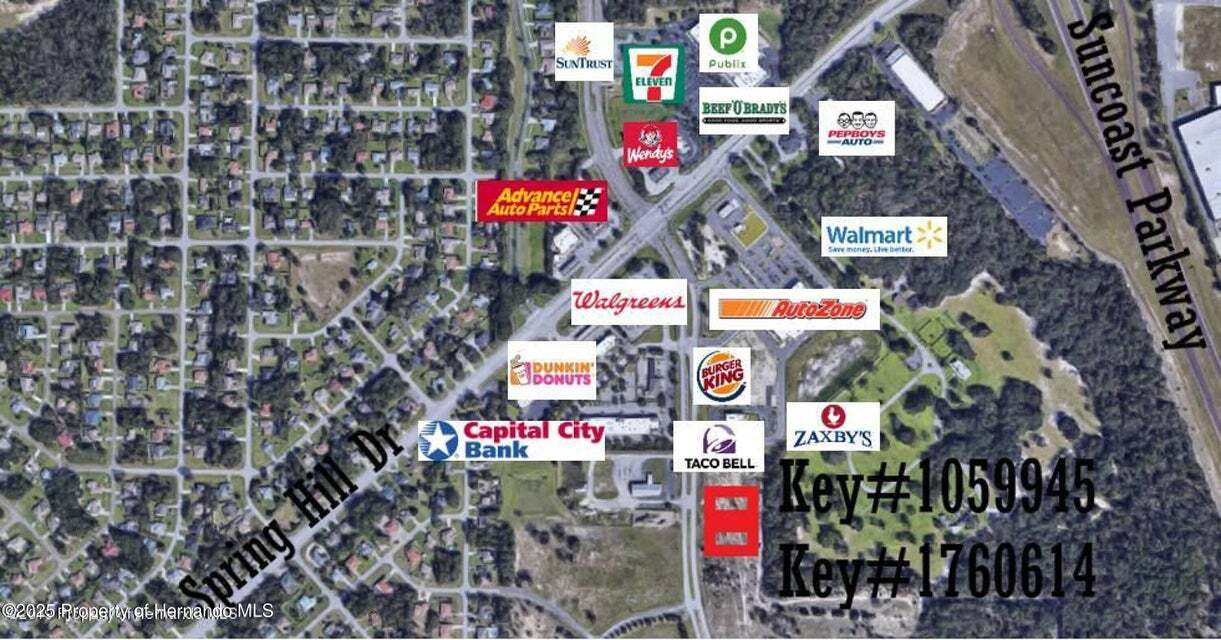 0 Anderson Snow Rd, Spring Hill, FL à vendre Photo de l’immeuble– Image 1 sur 3