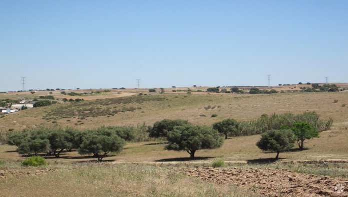 Photo principale