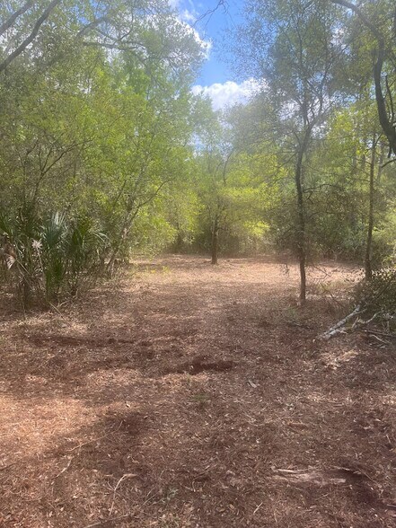 0 Camellia, Crystal River, FL à vendre - Autre – Image 3 sur 11