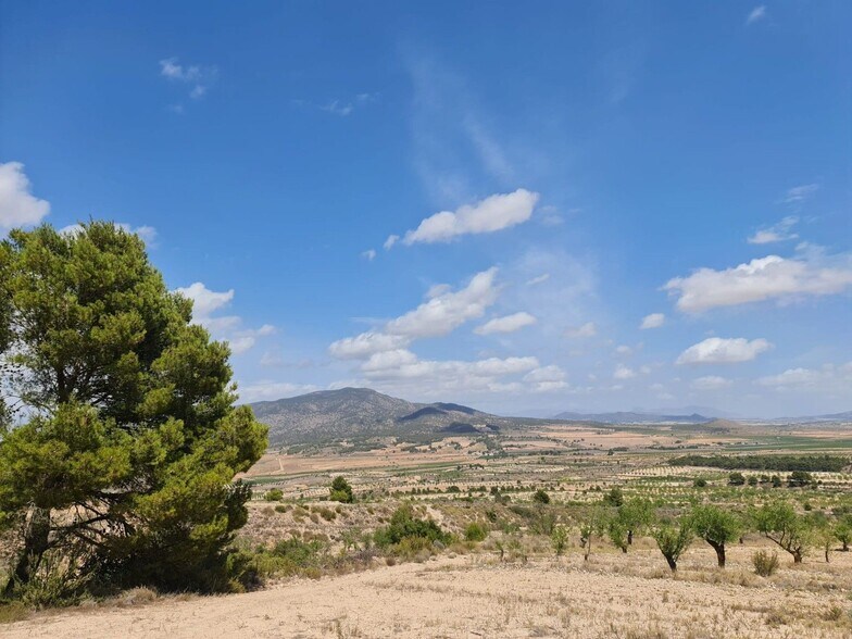 Terrain dans MURCIA à vendre - Aérien – Image 2 sur 29