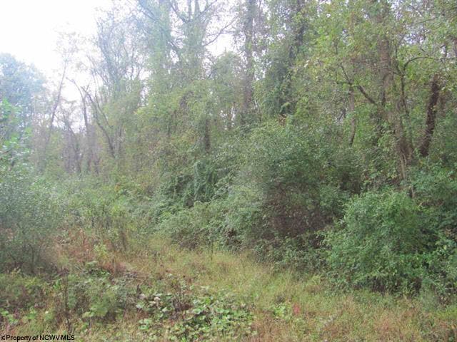 Rosedale Hill, Morgantown, WV à vendre - Autre – Image 3 sur 10