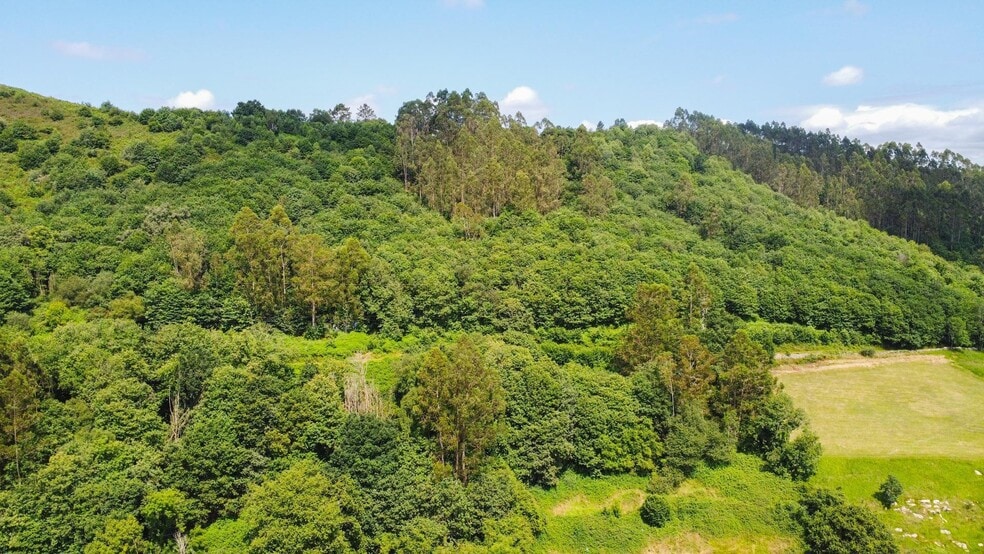 las Cuestas, Oviedo, Asturias à vendre - Aérien – Image 2 sur 31