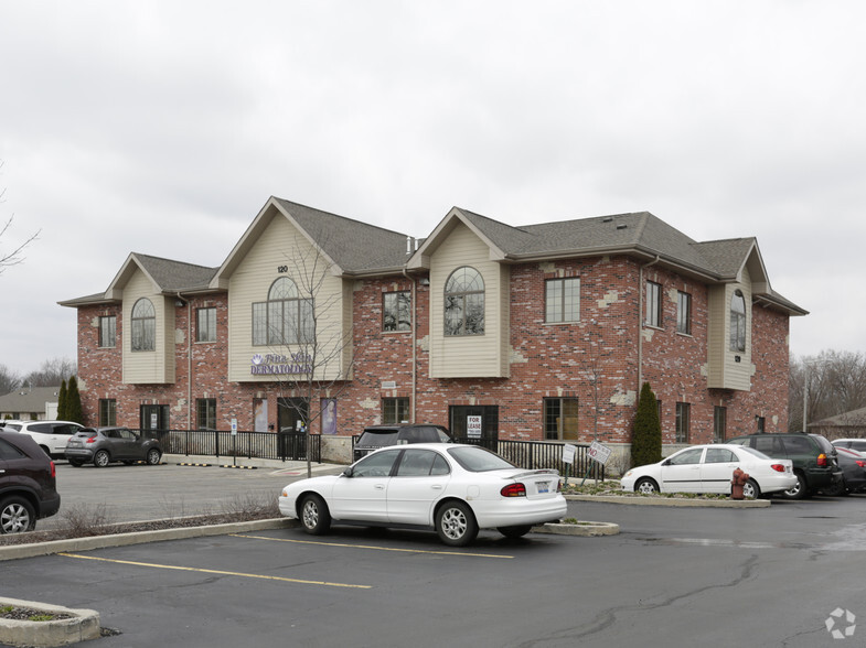 120 Batson Ct, New Lenox, IL à louer - Photo principale – Image 1 sur 21