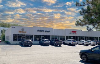 Plus de détails pour 524 E Washington St, Chagrin Falls, OH - Local commercial à vendre