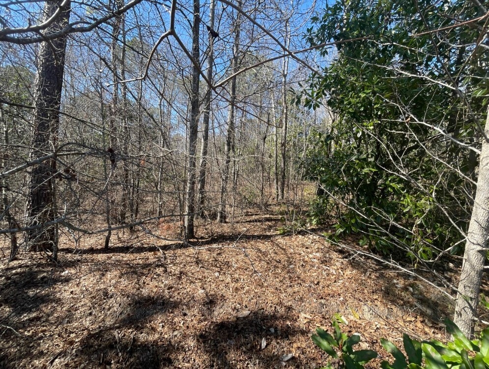 View Photo