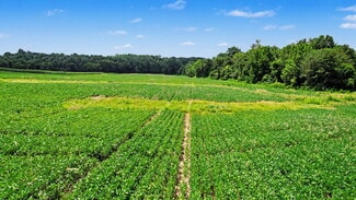 Plus de détails pour 0 Coffman Rd, Borden, IN - Terrain à vendre