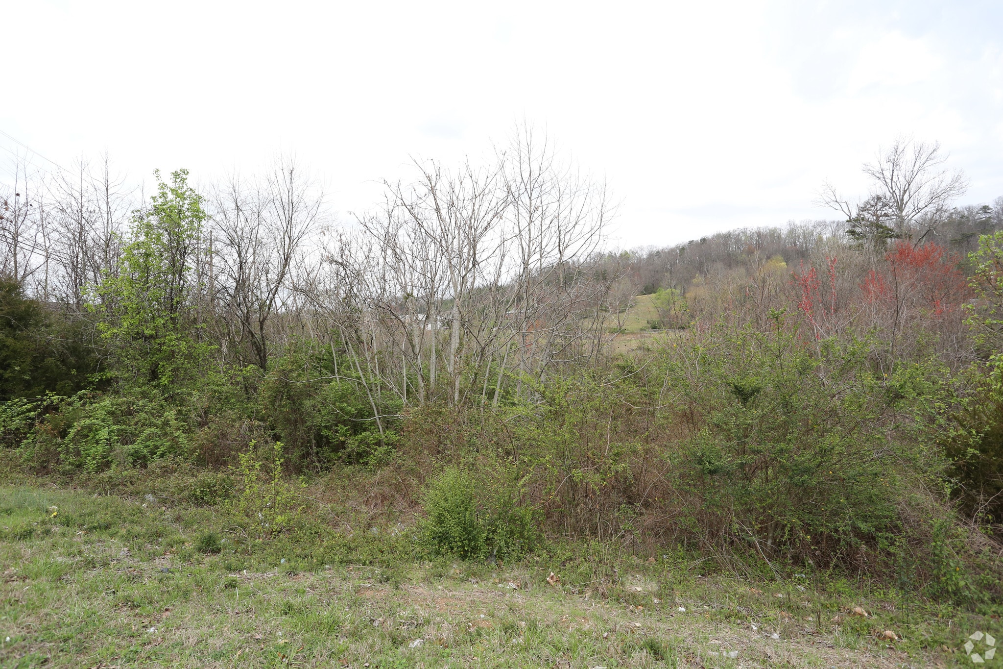 2301 Callahan Dr, Knoxville, TN à louer Photo principale– Image 1 sur 6