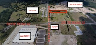 Plus de détails pour 11714 Bellamy Brothers Blvd, Dade City, FL - Terrain à louer