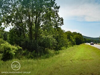 Plus de détails pour 2006 Old Highway 431, Owens Cross Roads, AL - Terrain à vendre