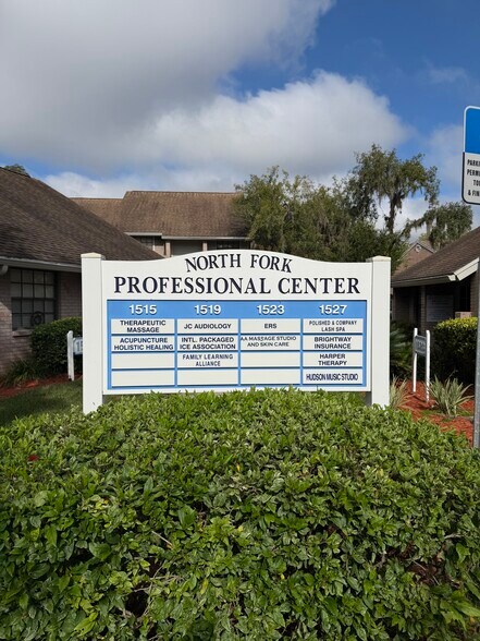 1523 Dale Mabry Hwy, Lutz, FL à louer - Photo de l’immeuble – Image 3 sur 8