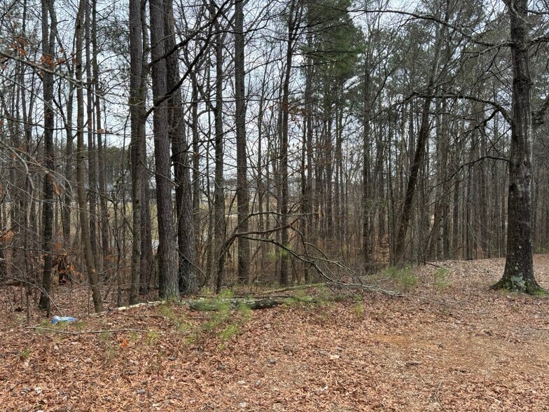 0 Preston Blvd, Lithia Springs, GA à vendre - Autre – Image 1 sur 3