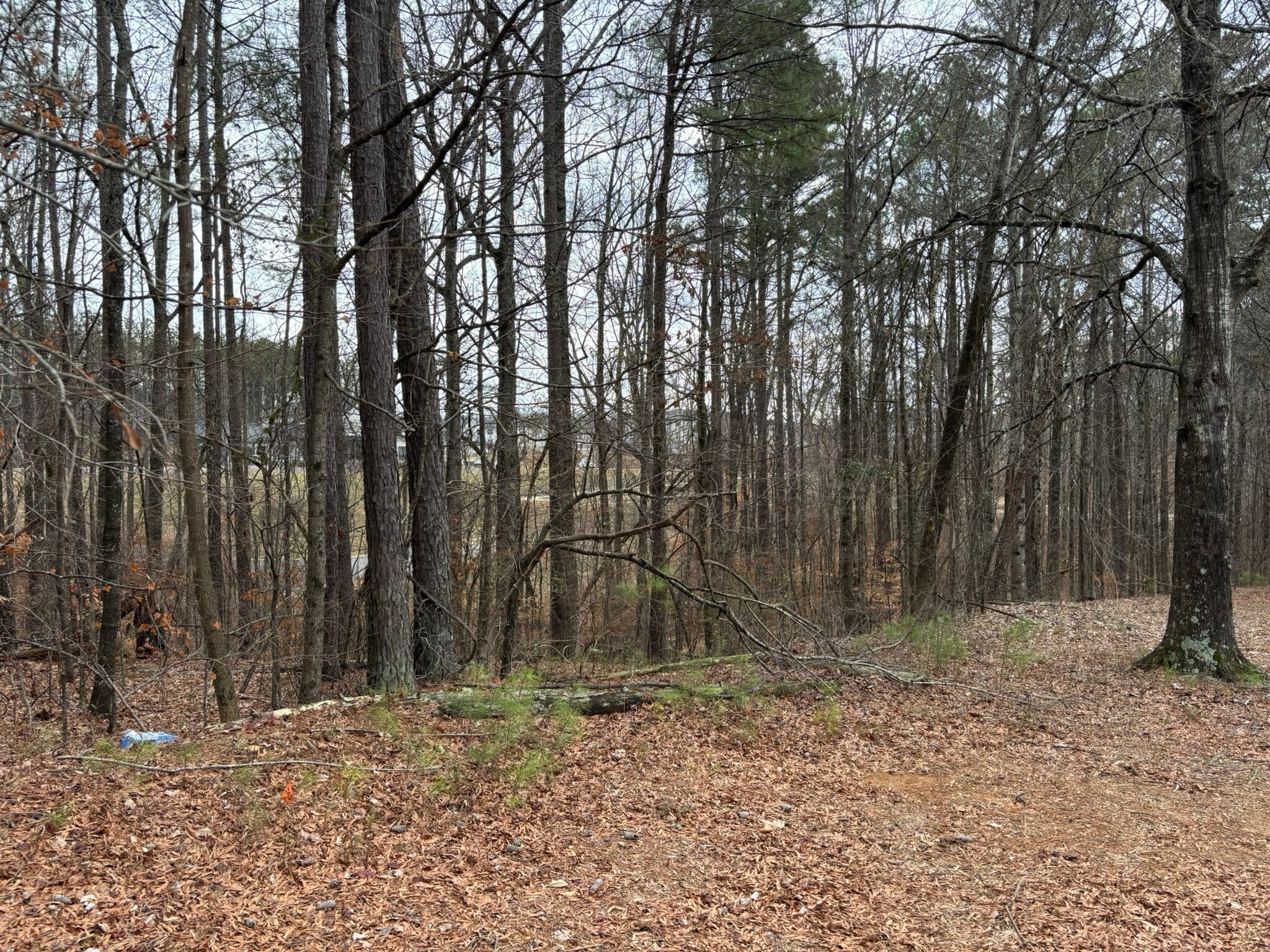 0 Preston Blvd, Lithia Springs, GA à vendre Autre– Image 1 sur 4