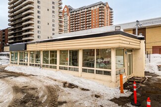 Plus de détails pour 7730-7740 Rue Du Mans, Saint-leonard, QC - Industriel/Logistique à louer