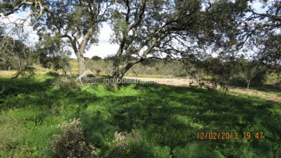 Terrain dans Cáceres, Cáceres à vendre - Photo principale – Image 3 sur 11