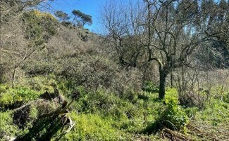 Plus de détails pour Camiño Franciscanos, Ourense - Terrain à vendre